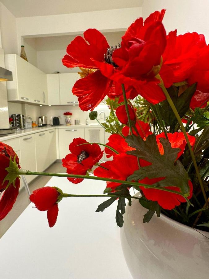Apartament Modern River House Florencja Zewnętrze zdjęcie